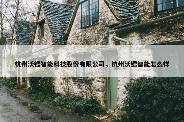杭州沃镭智能科技股份有限公司，杭州沃镭智能怎么样