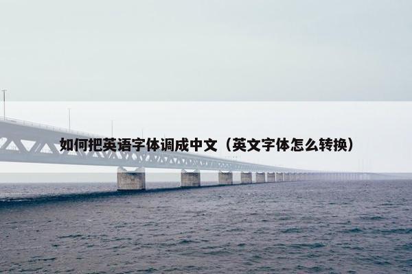 如何把英语字体调成中文（英文字体怎么转换）