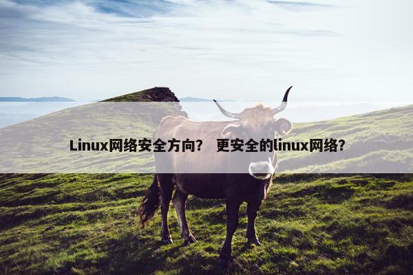 Linux网络安全方向？ 更安全的linux网络？