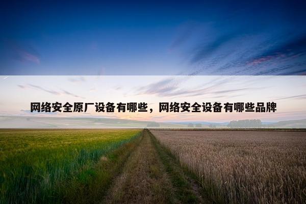 网络安全原厂设备有哪些，网络安全设备有哪些品牌