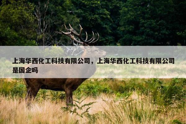 上海华西化工科技有限公司，上海华西化工科技有限公司是国企吗