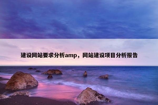 建设网站要求分析amp，网站建设项目分析报告