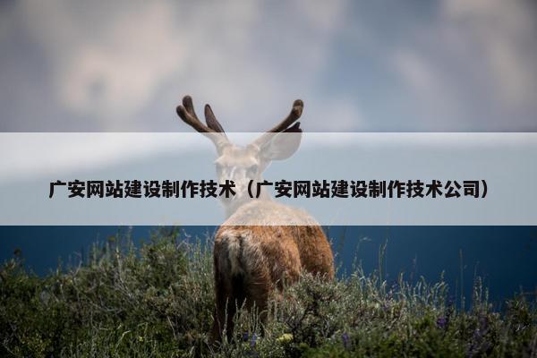 广安网站建设制作技术（广安网站建设制作技术公司）