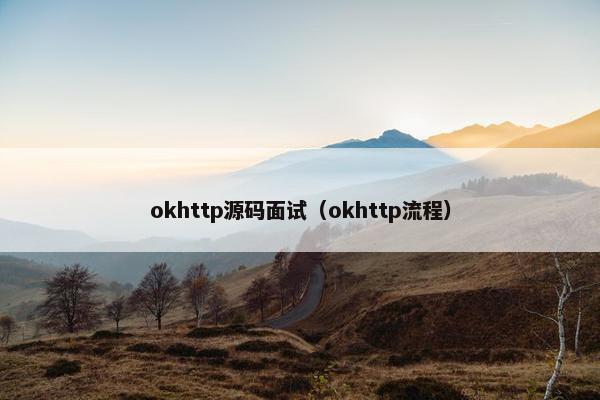 okhttp源码面试（okhttp流程）