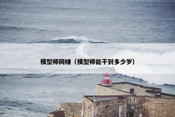 模型师网赚（模型师能干到多少岁）