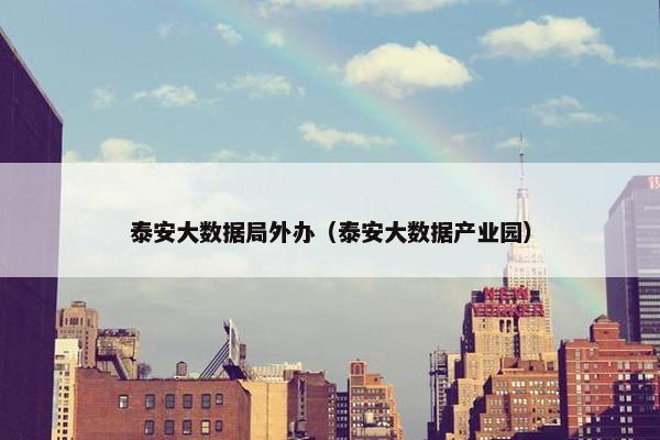 泰安大数据局外办（泰安大数据产业园）