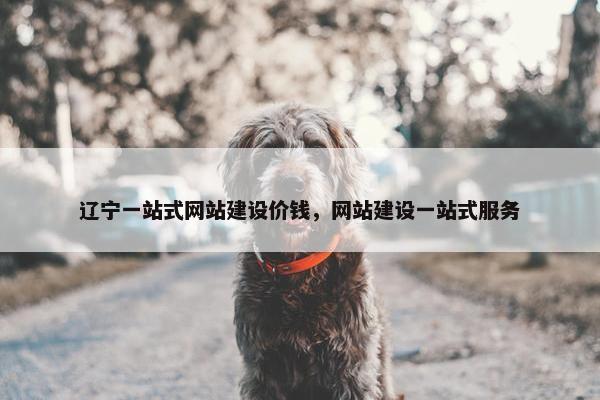 辽宁一站式网站建设价钱，网站建设一站式服务
