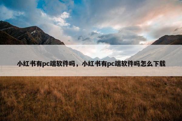小红书有pc端软件吗，小红书有pc端软件吗怎么下载