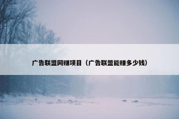 广告联盟网赚项目（广告联盟能赚多少钱）