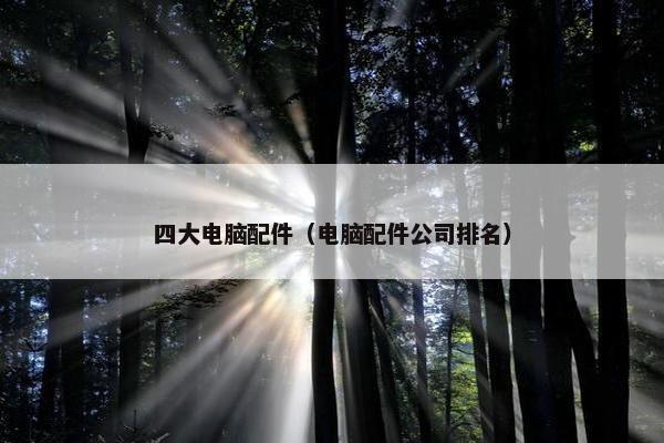 四大电脑配件（电脑配件公司排名）