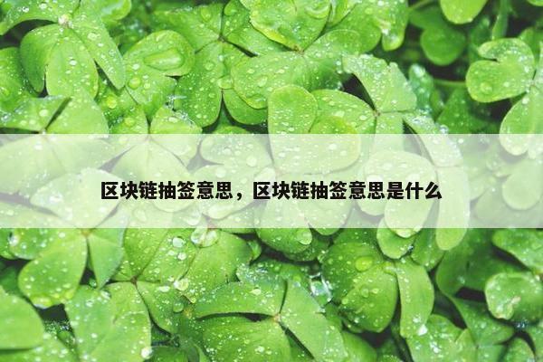 区块链抽签意思，区块链抽签意思是什么