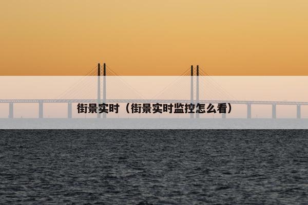 街景实时（街景实时监控怎么看）