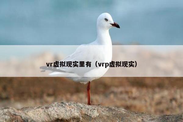 vr虚拟现实里有（vrp虚拟现实）