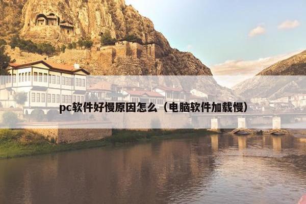 pc软件好慢原因怎么（电脑软件加载慢）