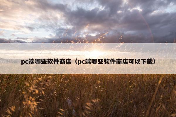 pc端哪些软件商店（pc端哪些软件商店可以下载）