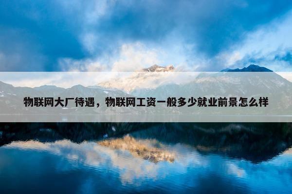 物联网大厂待遇，物联网工资一般多少就业前景怎么样