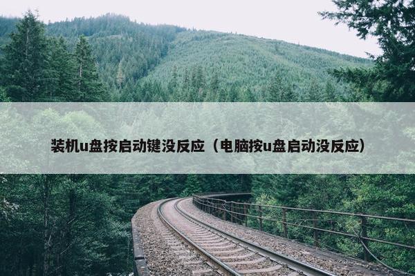装机u盘按启动键没反应（电脑按u盘启动没反应）