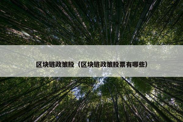 区块链政策股（区块链政策股票有哪些）