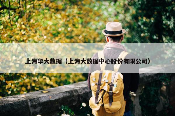 上海华大数据（上海大数据中心股份有限公司）
