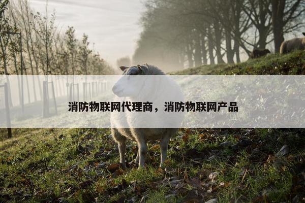 消防物联网代理商，消防物联网产品