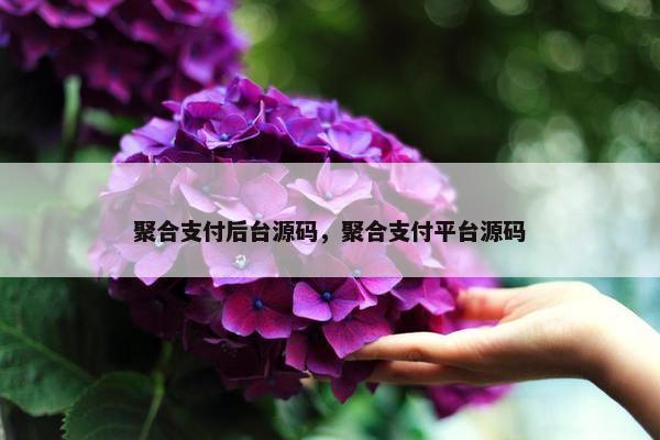 聚合支付后台源码，聚合支付平台源码