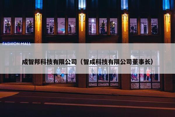 成智邦科技有限公司（智成科技有限公司董事长）