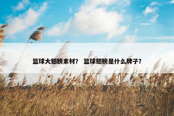 篮球大翅膀素材？ 篮球翅膀是什么牌子？