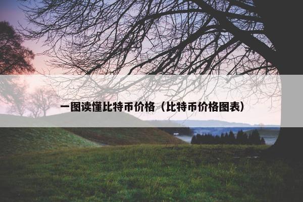 一图读懂比特币价格（比特币价格图表）