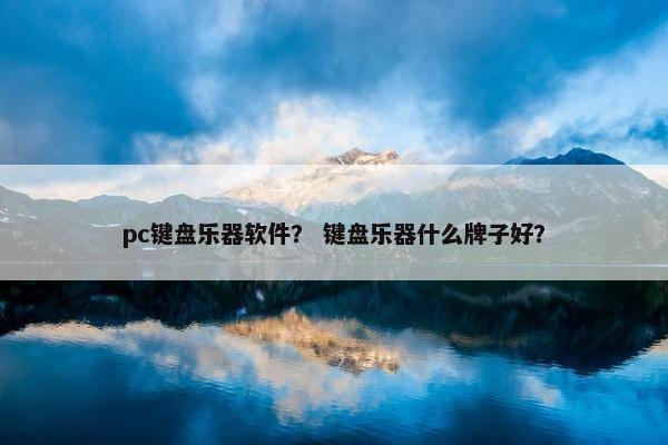 pc键盘乐器软件？ 键盘乐器什么牌子好？