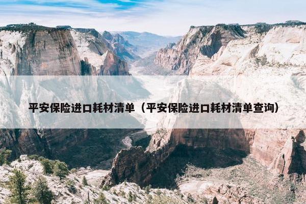 平安保险进口耗材清单（平安保险进口耗材清单查询）