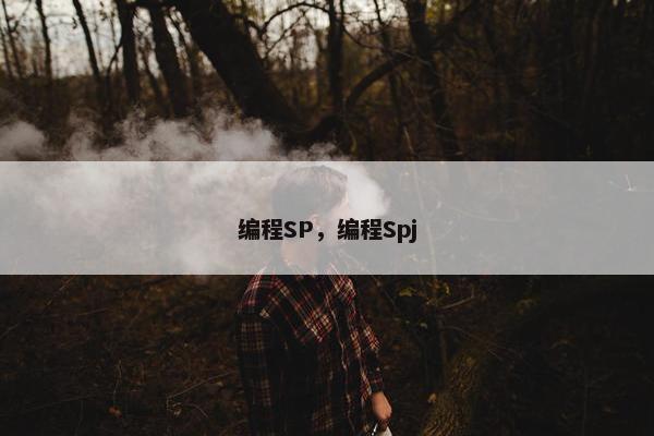编程SP，编程Spj