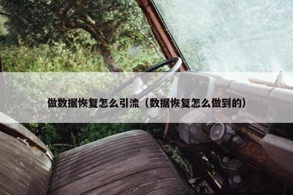 做数据恢复怎么引流（数据恢复怎么做到的）