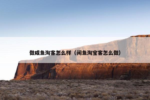 做咸鱼淘客怎么样（闲鱼淘宝客怎么做）
