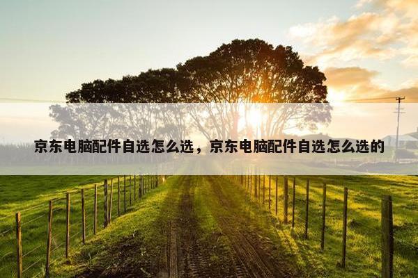 京东电脑配件自选怎么选，京东电脑配件自选怎么选的