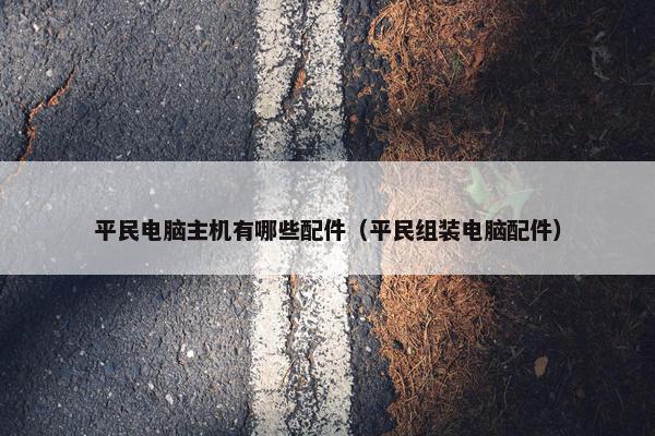 平民电脑主机有哪些配件（平民组装电脑配件）