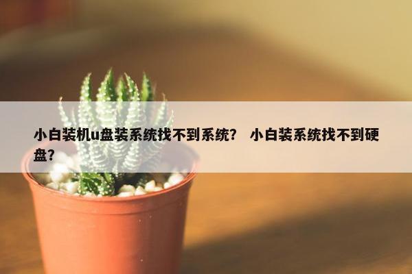小白装机u盘装系统找不到系统？ 小白装系统找不到硬盘？