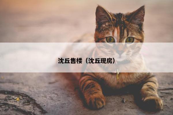 沈丘售楼（沈丘现房）