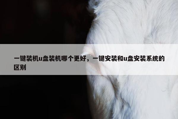 一键装机u盘装机哪个更好，一键安装和u盘安装系统的区别