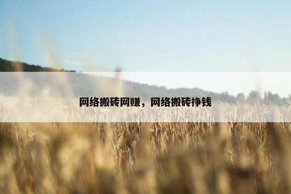 网络搬砖网赚，网络搬砖挣钱