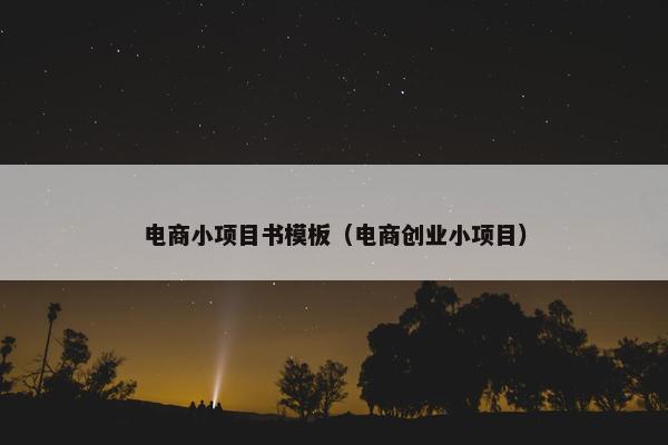 电商小项目书模板（电商创业小项目）
