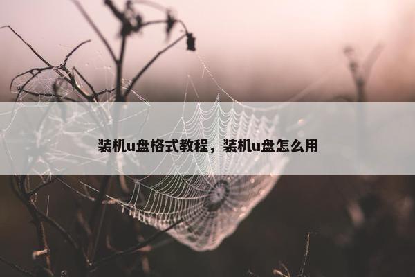 装机u盘格式教程，装机u盘怎么用