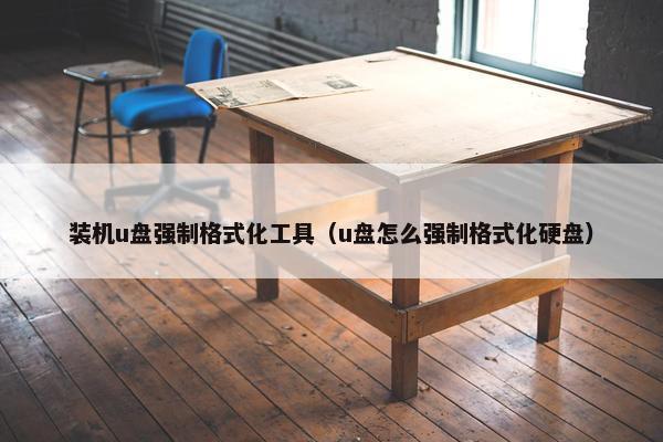 装机u盘强制格式化工具（u盘怎么强制格式化硬盘）