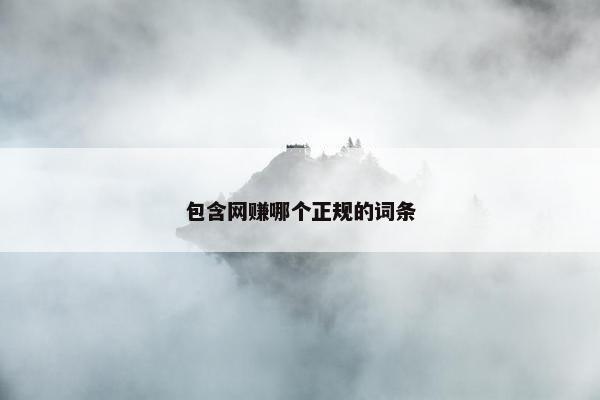 包含网赚哪个正规的词条