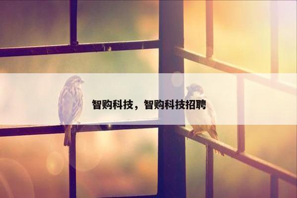 智购科技，智购科技招聘