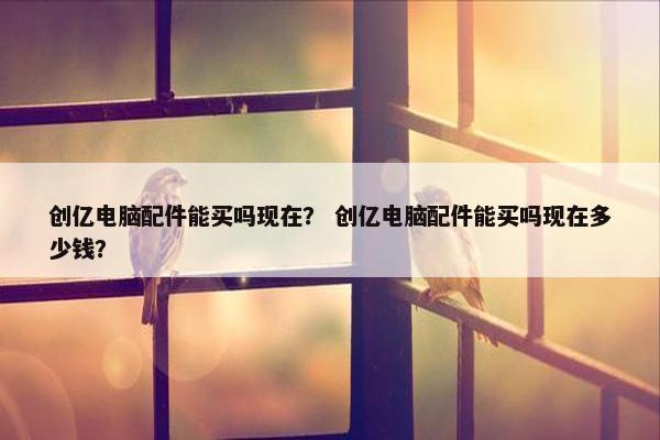创亿电脑配件能买吗现在？ 创亿电脑配件能买吗现在多少钱？