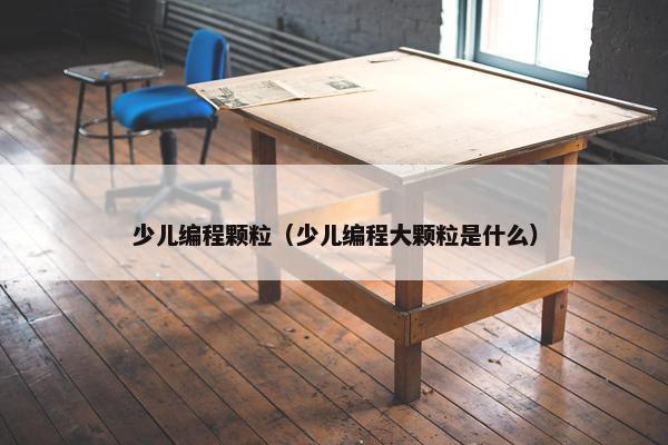 少儿编程颗粒（少儿编程大颗粒是什么）