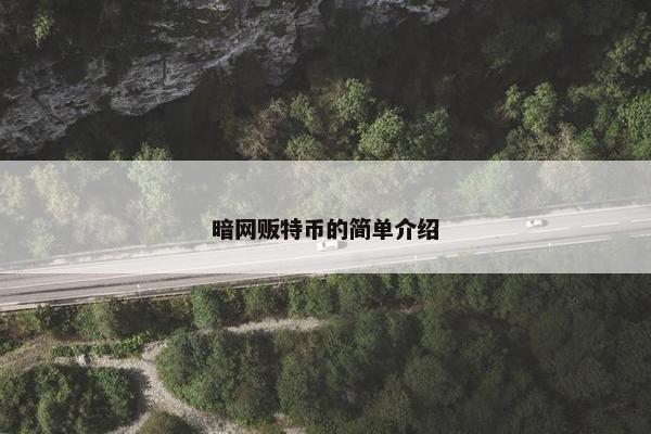 暗网贩特币的简单介绍