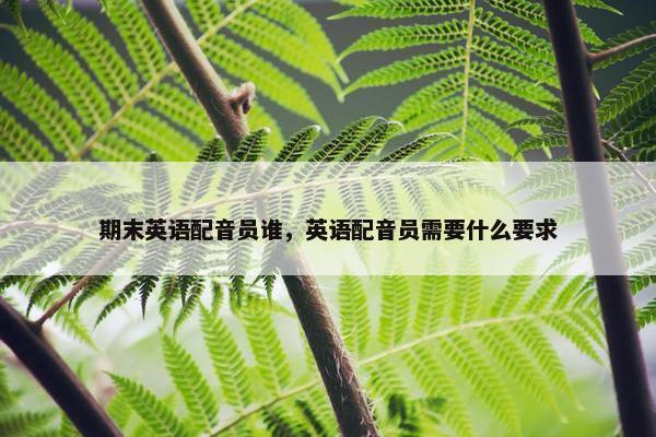 期末英语配音员谁，英语配音员需要什么要求