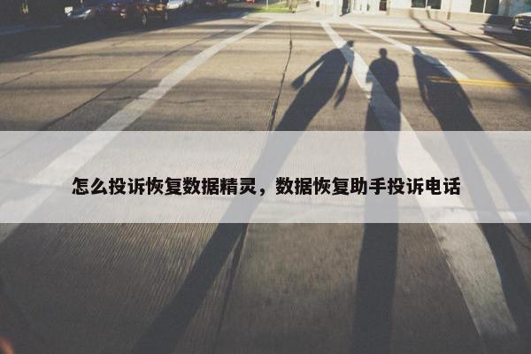 怎么投诉恢复数据精灵，数据恢复助手投诉电话