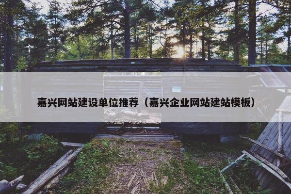 嘉兴网站建设单位推荐（嘉兴企业网站建站模板）